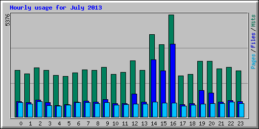 Hourly usage for July 2013